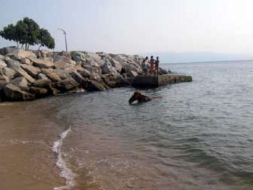 Fıstıklı Plajı’nda “At” Tepkisi