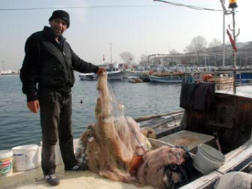 Yalovalı Balıkçılar Ağ Desteği İstiyor