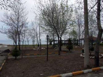 Koru, Yaza Hazırlanıyor