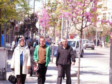 Erguvanlar Altında Yürüyüş Zevki