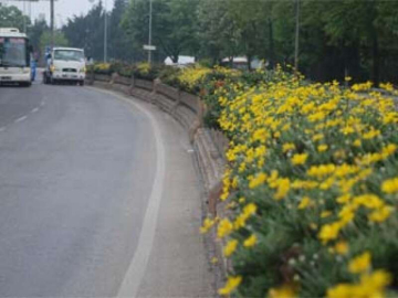 Yalova, Çiçek Bahçesi Gibi