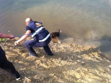 Köpek Kurtarma Operasyonu