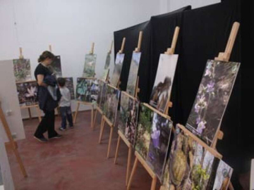 Hersek Lagünündeki Kuş Türleri Sergilendi