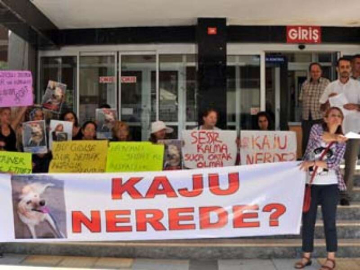 Hayvanseverler, Kaju İçin Ayaklandı