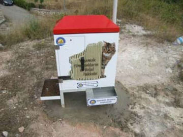 Sokak Hayvanları İçin Elektronik Beslenme Ünitesi