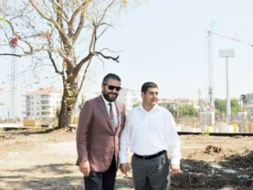 Bir Çınar Ağacı İçin Projeyi Kaydırdılar