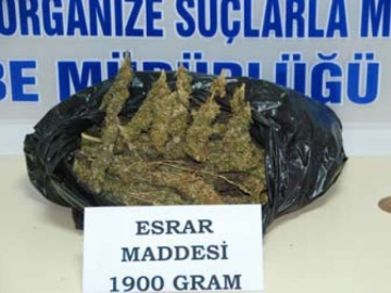Yalova'da 2 Kilo Esrar Ele Geçirildi