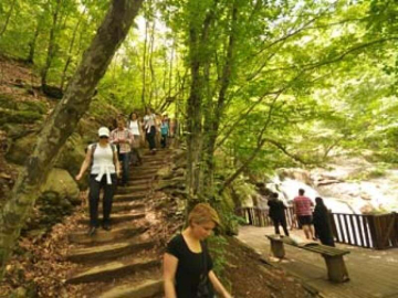 Erikli Yaylası İlk 20'ye Girdi