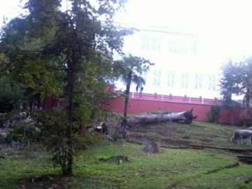 Termal’deki Atatürk Arboretumu’nda Neler Oluyor