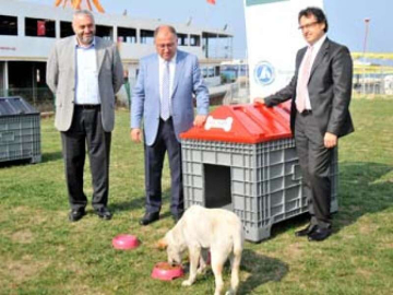Yalova Belediyesinden Sokak Hayvanlarına Plastik Barınak