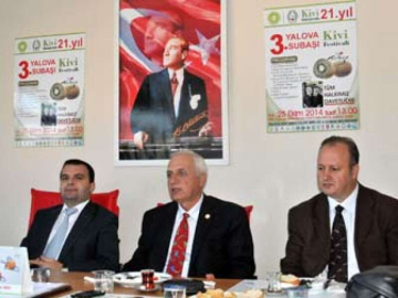 Bu Yıl Türkiye Kivi Üretiminin %70'i Yalova'dan Çıkacak