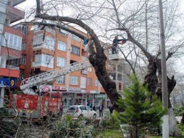 Çınarcık'ta Yaz Hazırlıkları Başladı