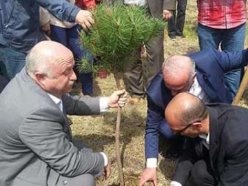 Alparslan Türkeş Hatıra Ormanı Oluşturuldu