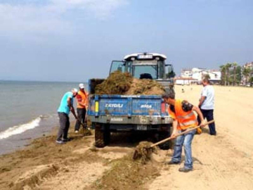 Çiftlikköy Sahilinde Yaz Temizliği 