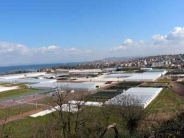 Avrupa'dan Yalova Garden'e Ortaklık Teklifi Yağıyor