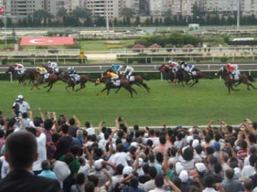 TJK'ya Yürüyen Köşk Koşusu İçin Teklif