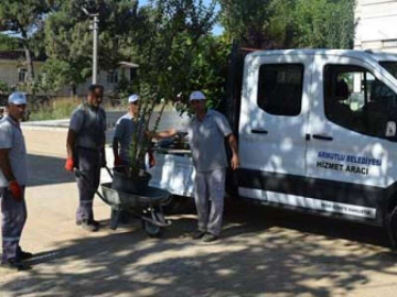 Armutlu'da Ağaçlandırma Başladı