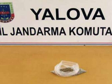 Jandarma'dan Esrar Operasyonu