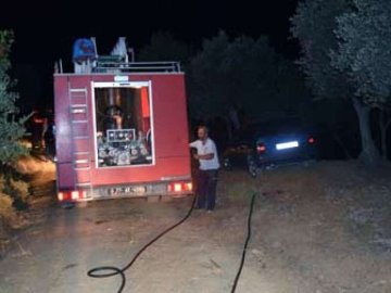 Armutlu'da Korkutan Orman Yangını