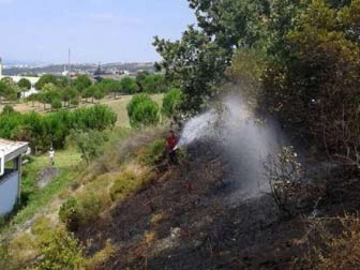 Havalar Isındı Orman Yangınları Arttı