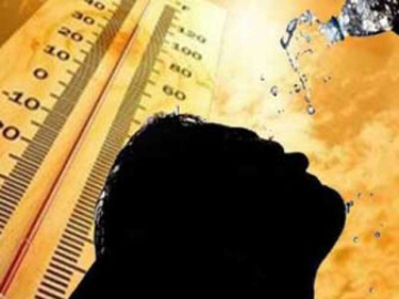 Yalova 37 Dereceyi Görecek