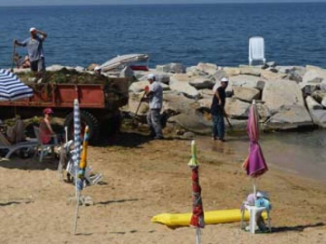 Sahiller Yosundan Arındırıldı