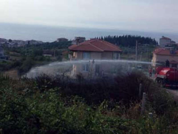 Çınarcık'ta Korkutan Yangın