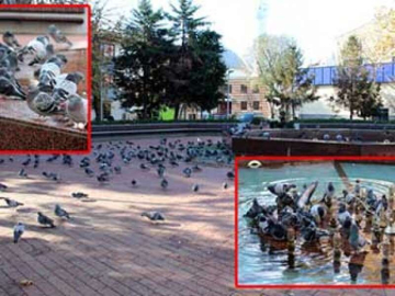 Cevdet Aydın Parkı Kuşlu Park Oldu