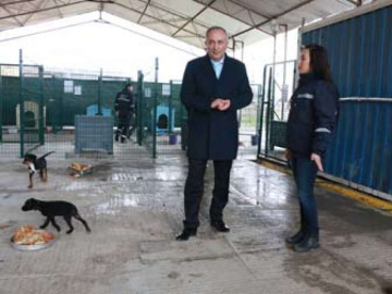 Çiftlikköy’de Sokak Hayvanları Güvende