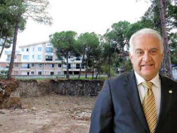 "Ağaçları Bolu Belediyesi Dökecek"