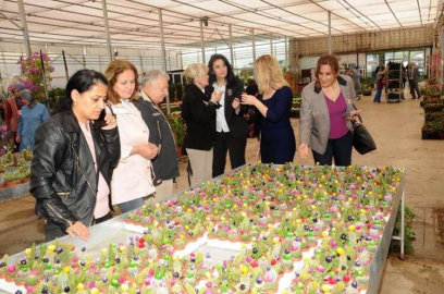 "Yalova, Bir Doğa Harikası"