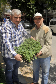 50 Bin Fide Dağıtılmaya Başlandı