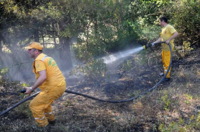 Yalova'da Orman Yangını