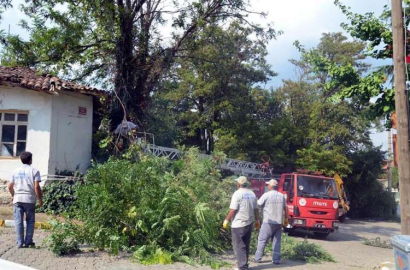 Ağaçlarda Sonbahar Budaması Başladı