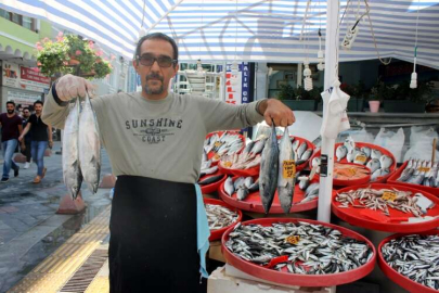 Tezgahlarda Balık Bolluğu