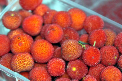 Dağ Çileği Pazarın Gözdesi