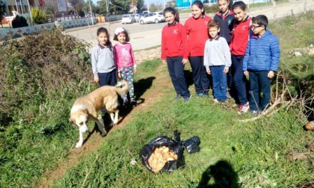Öğrencilerden Örnek Davranış