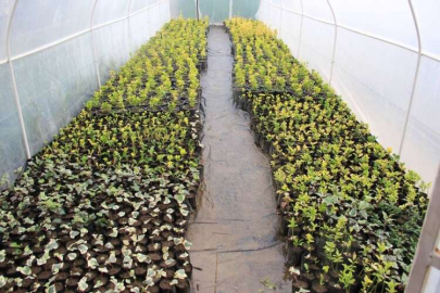 Yaski'den Bir Proje Daha