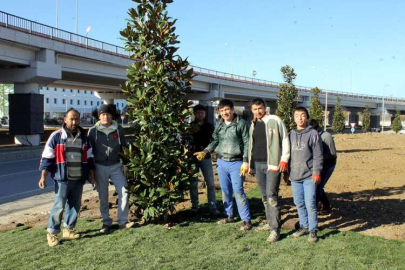 Düzenleme Türkmenlere Emanet