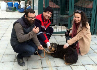 Hayvanlar Sahiplendiriliyor