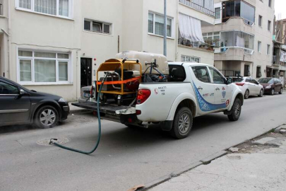 Sinekle Mücadele Sürüyor