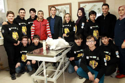 Yavru Hayvanlara Robot Anne