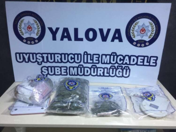 Yalova'da Uyuşturucu Operasyonu