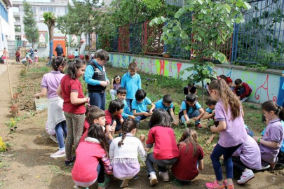 Yalova'da Bir Örneği Daha Yok