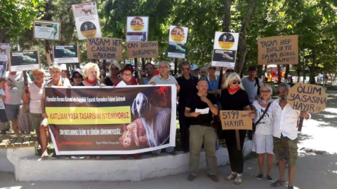 Hayvanseverler Sokak Hayvanları İçin Eylem Yaptı