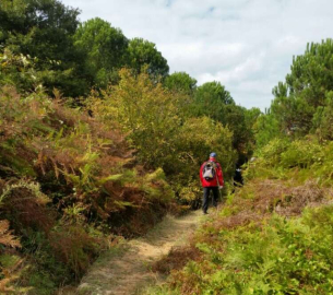500 Hane Kestanecilik Yapıyor