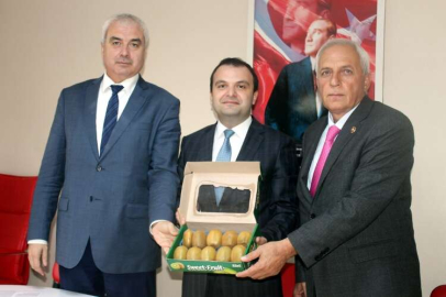 Kivi Festivalinin Hazırlıkları Tamam