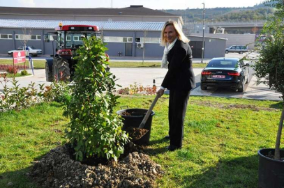 Yerleşkeye 124 Fidan Dikildi