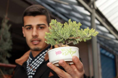 7 Yaşındaki Bonsai’yi Görenler Şaşkınlığını Gizleyemiyor