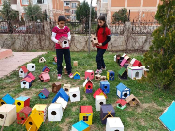 Öğrencilerin Yaptığı Kuş Yuvaları Ağaçlara Asıldı